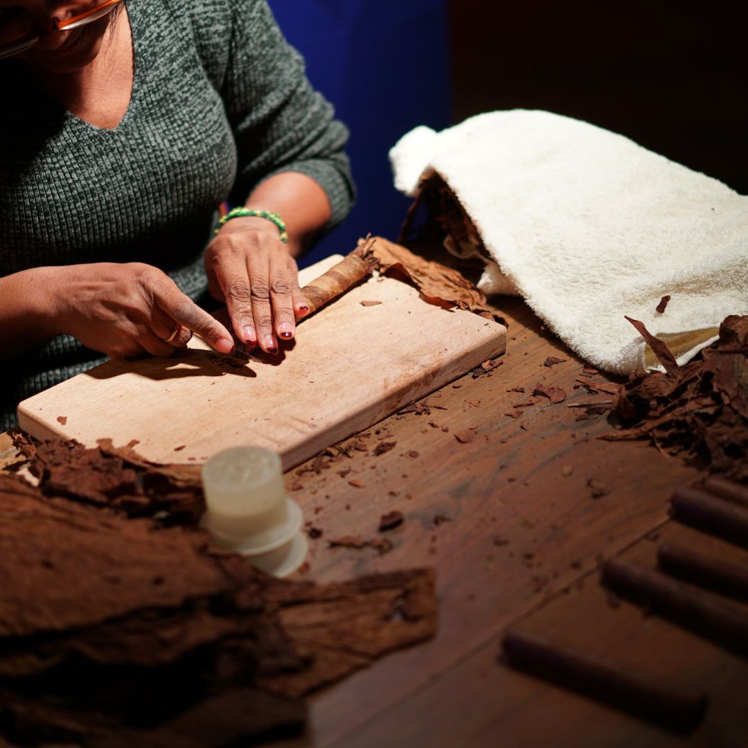 Master roller hand-crafting a cigar at her bench