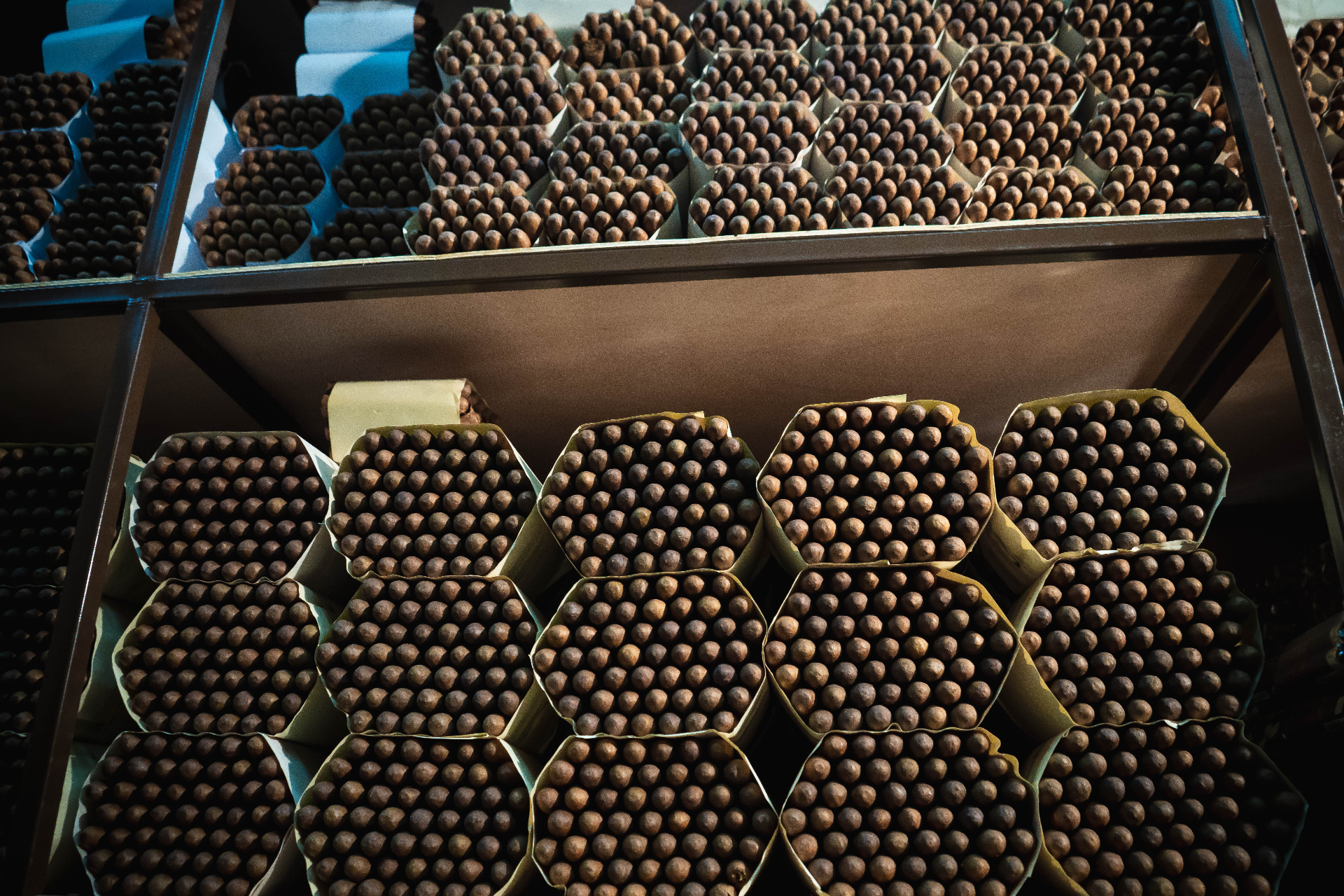 Bundles of hand-rolled premium cigars tied with twine